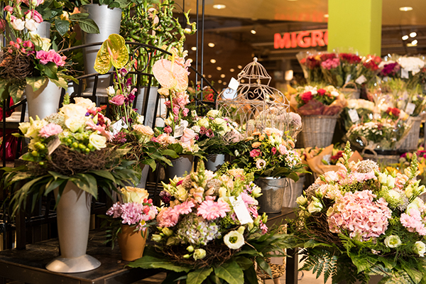 Migros Blumen Ladedorf